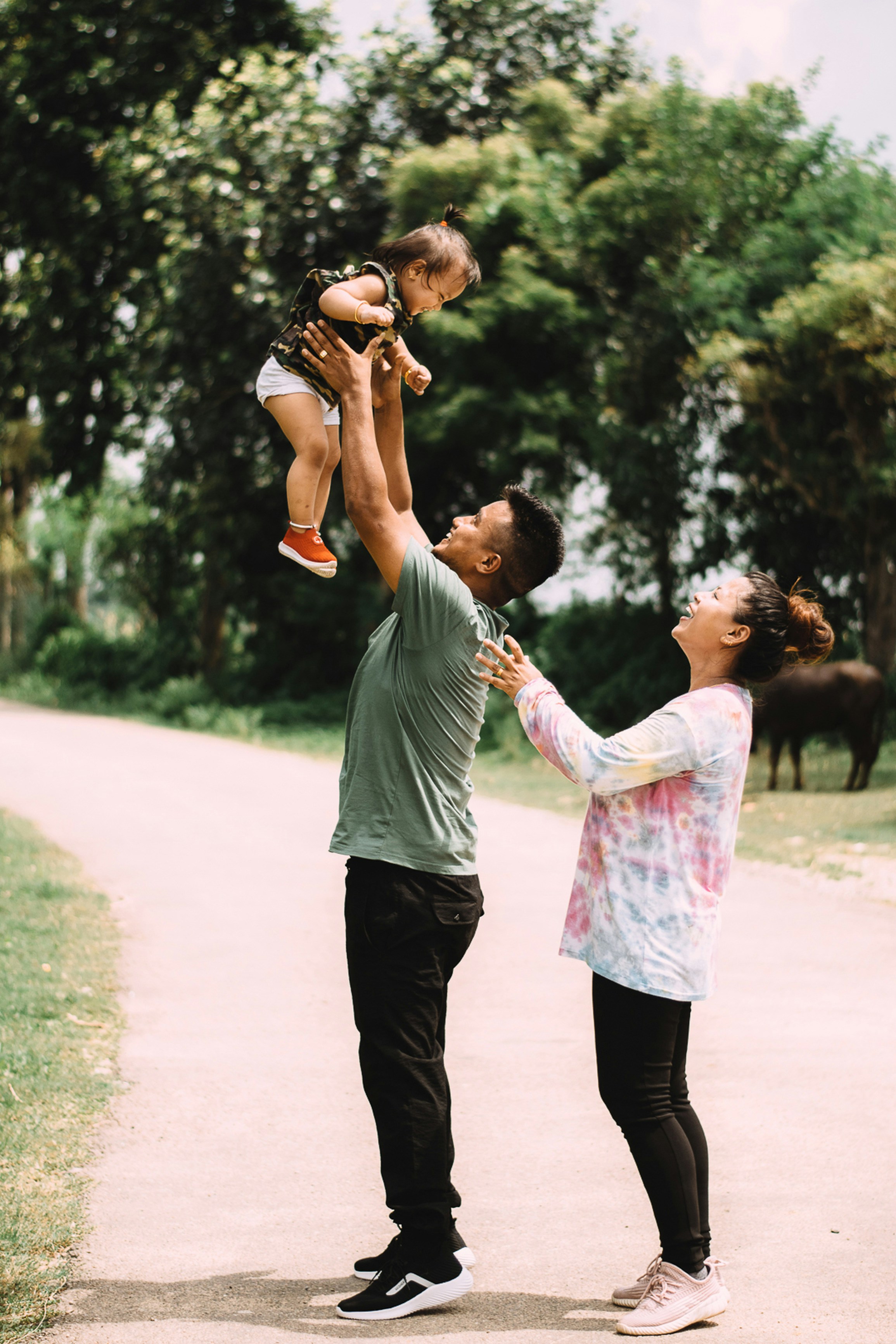 Family portrait book cover